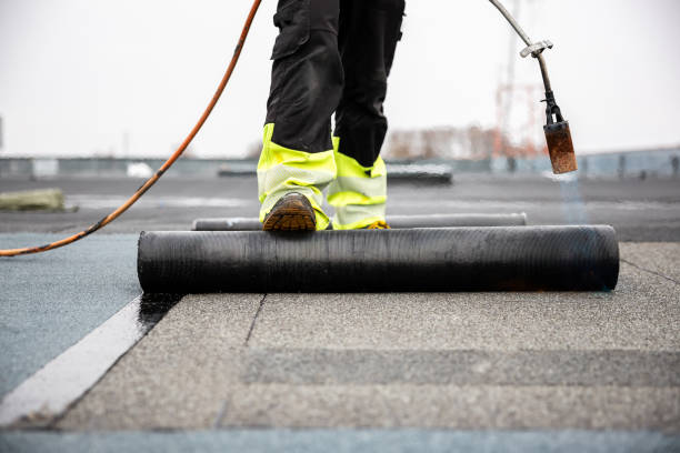 Best Metal Roofing Installation  in Cloverleaf, TX